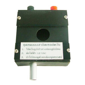 เซลล์ควัน