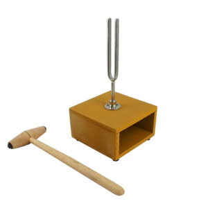 ส้อมเสียงบนกล่องกำทอนพร้อมไม้เคาะ