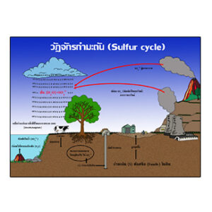 วัฏจักรกำมะถัน