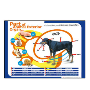 แสดงส่วนประกอบต่างๆ ของอวัยวะภายนอกของสัตว์