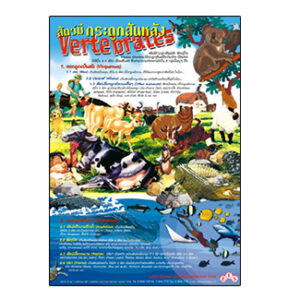 สัตว์มีกระดูกสันหลัง