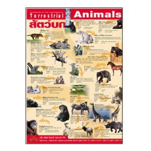 สัตว์บก