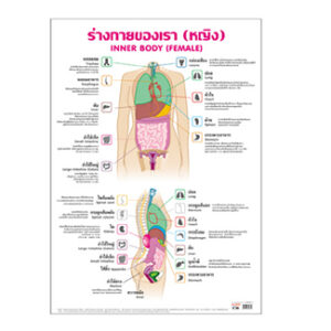 ร่างกายของเรา (หญิง)