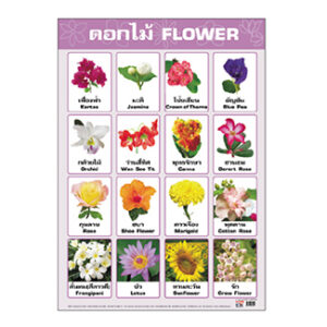 เรื่องดอกไม้