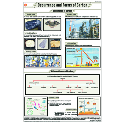 STC10 Occurence & Forms of Carbon
