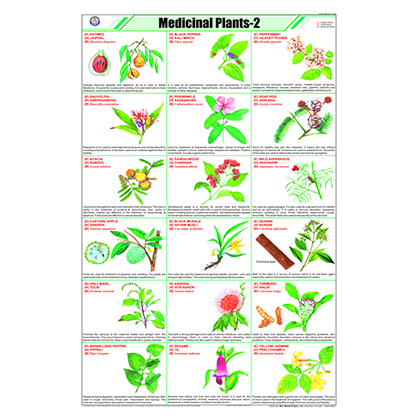 STG11 Medicinal Plants -ll