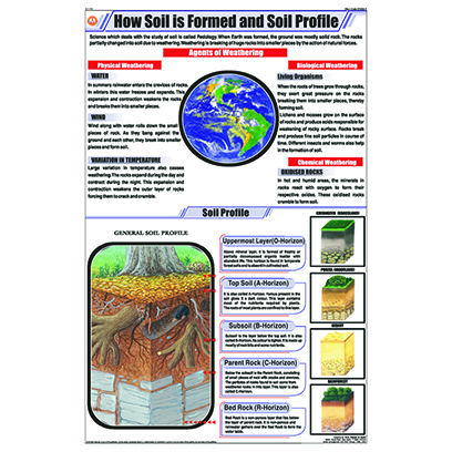 STG23How Soil is formed & Soil Profile