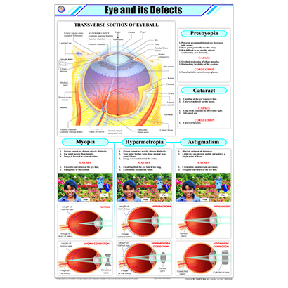 STP18 Eye & its Defects