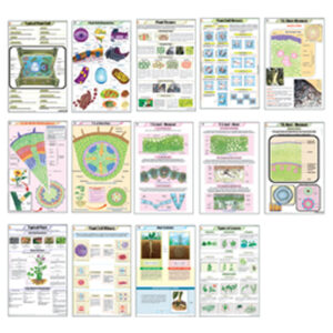 BOTANY II โครงสร้างของพืช