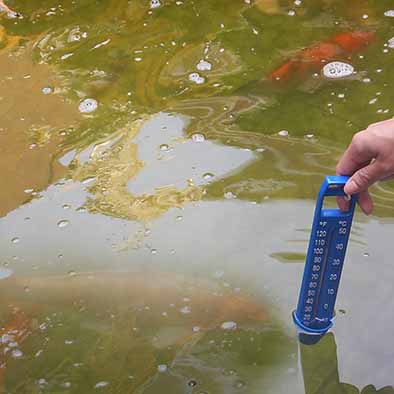 เทอร์โมมิเตอร์วัดในสระนํ้า Brannan