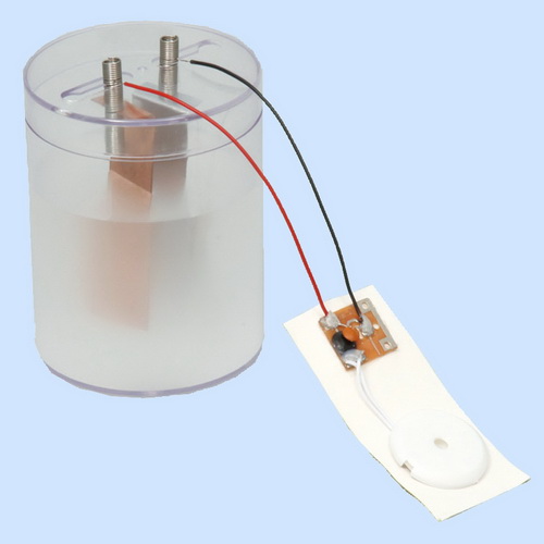 ชุดเซลล์ไฟฟ้า (AT Voltaic Cell Experiment Kit)
