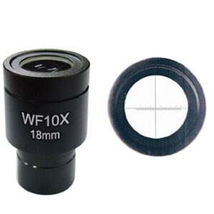 เลนส์ตามีสเกล 10x