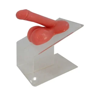 Condom Demonstration Model