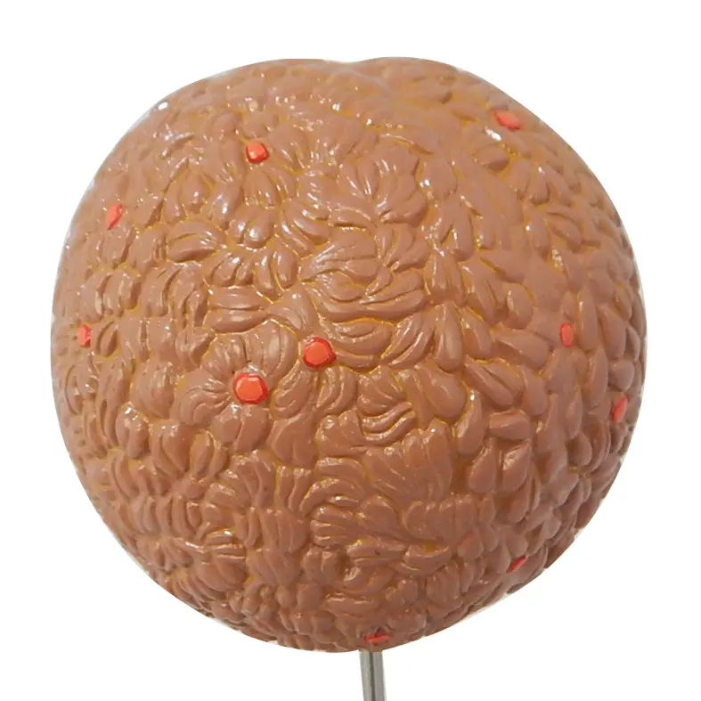 หุ่นจำลองคอเลสเตอรอล