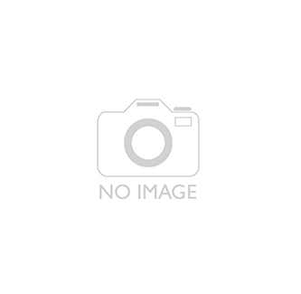 Mucor w.m. showing conjugation & zygoespore