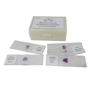 ชุดสไลด์ถาวรเชื้อโรคและความผิดปกติในระบบหายใจและผิวหนัง