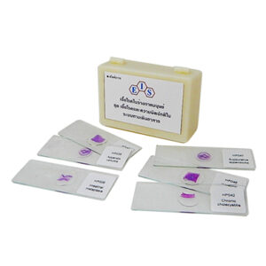 ชุดสไลด์ถาวรเชื้อโรคและความผิดปกติในระบบทางเดินอาหาร