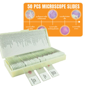 ชุดสไลด์ถาวรพยาธิวิทยาและเชื้อโรคในระบบร่างกายมนุษย์